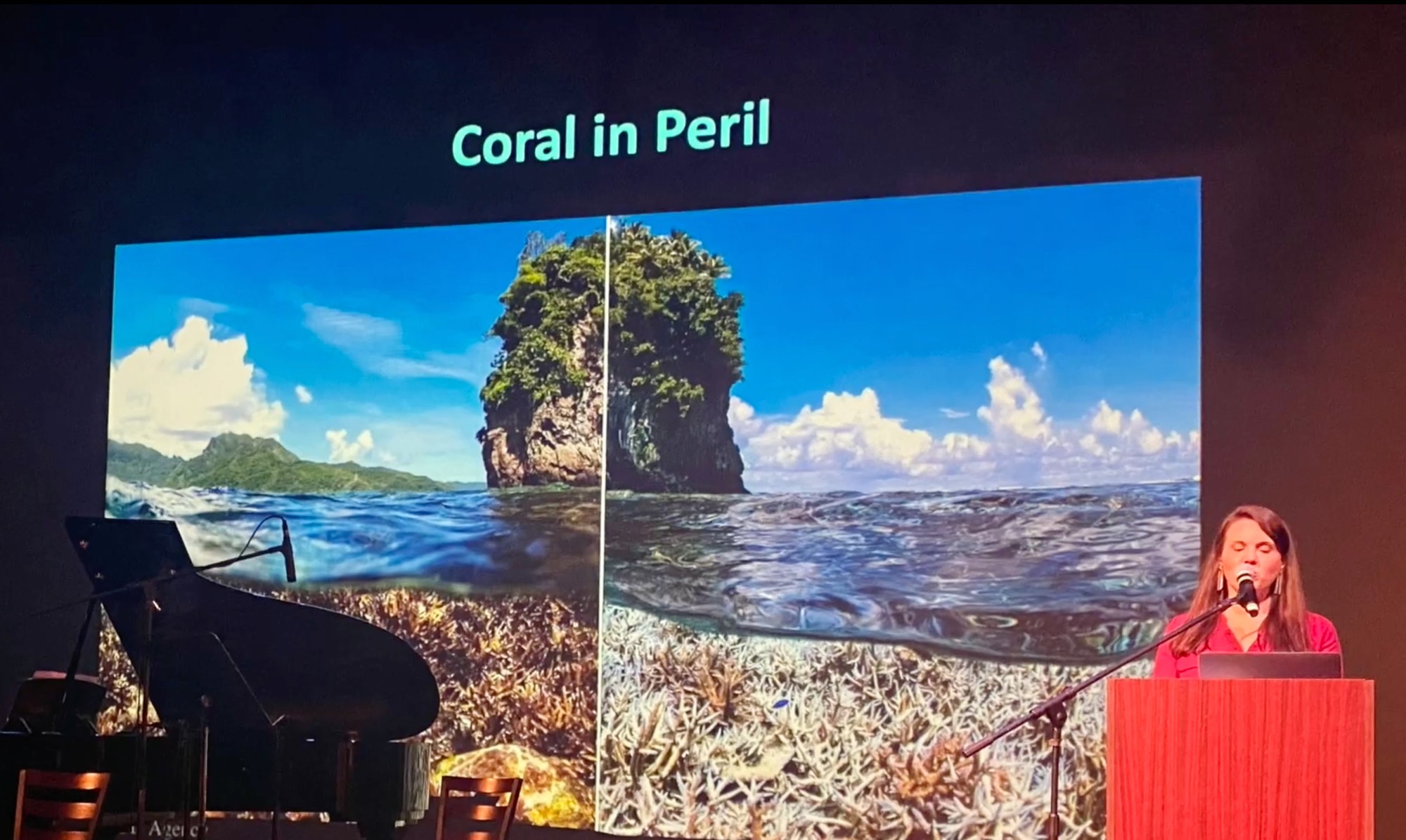 Reef Music